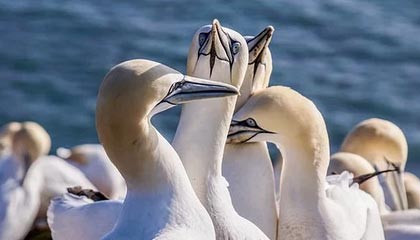 太原伴游,定制QQ:3494206190微信:act1322